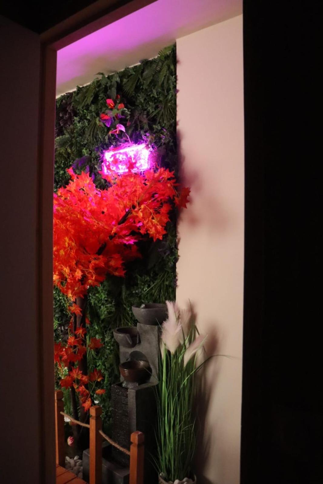 Loveroom Japon Avec Balneotherapie Toulon Extérieur photo